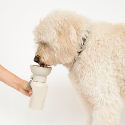 Portable Dog Travel Water Bottle - 20oz