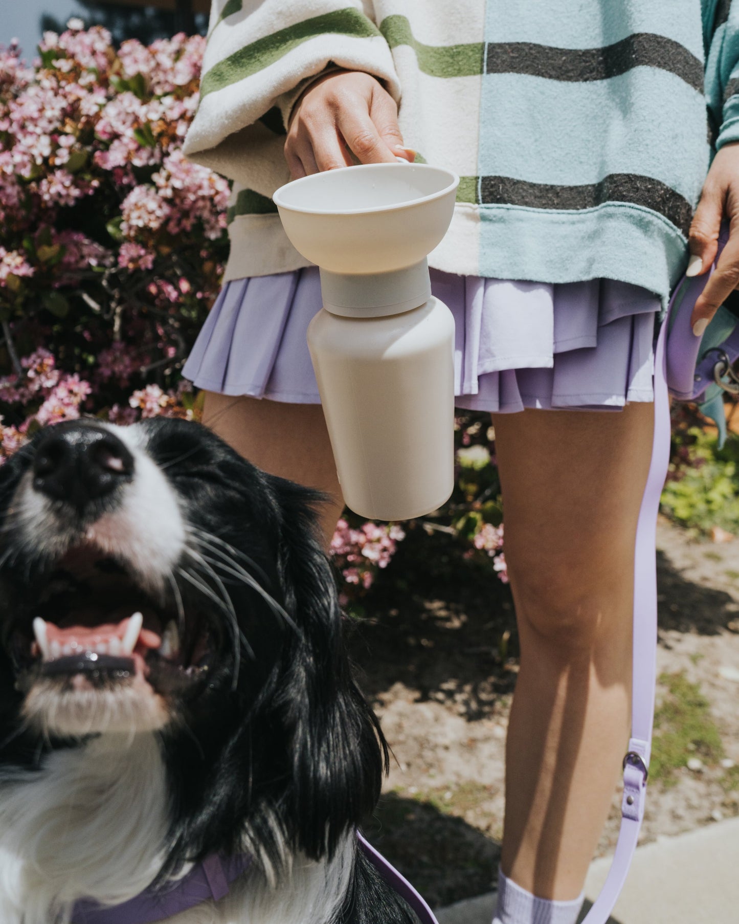 Portable Dog Travel Water Bottle - 20oz