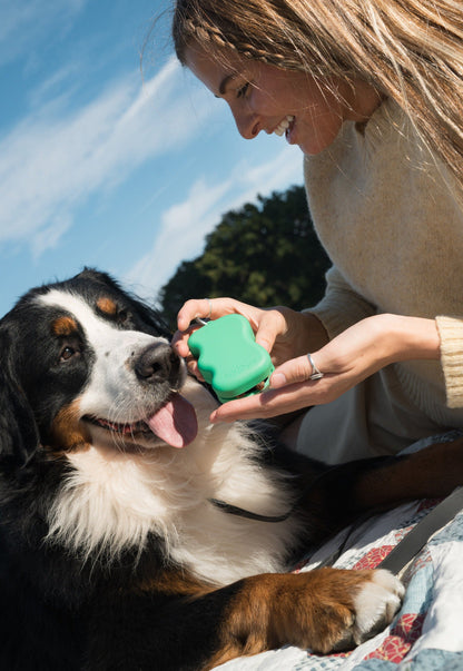 Silicone Dog Treat Pouch