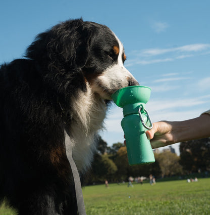 Portable Dog Travel Water Bottle - 20oz