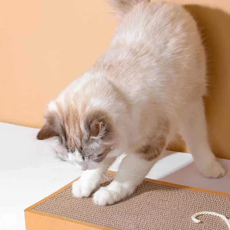 Corrugated Cardboard Cat Scratching Board
