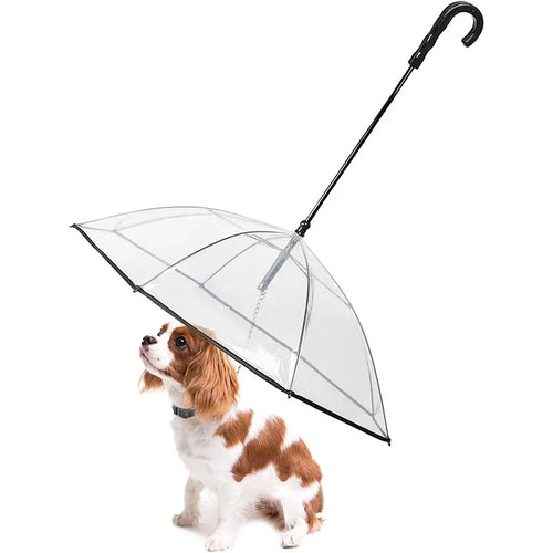 Dog Umbrella With Leash