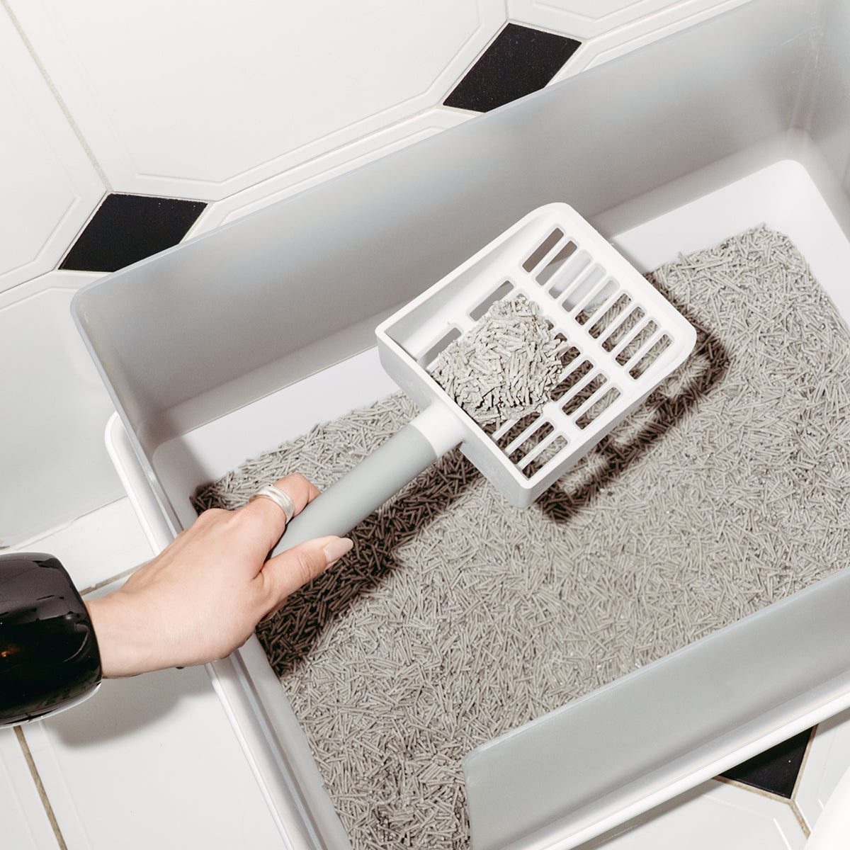 Cat Litter Scoop