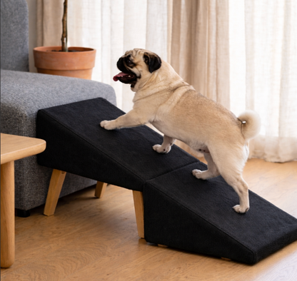 2-in-1 Dog Ramp Ottoman