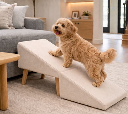 2-in-1 Dog Ramp Ottoman