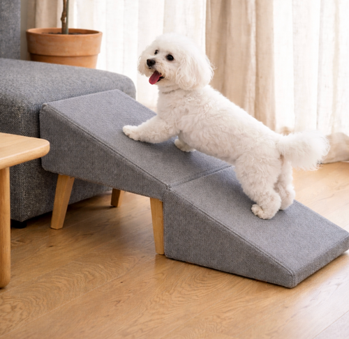 2-in-1 Dog Ramp Ottoman