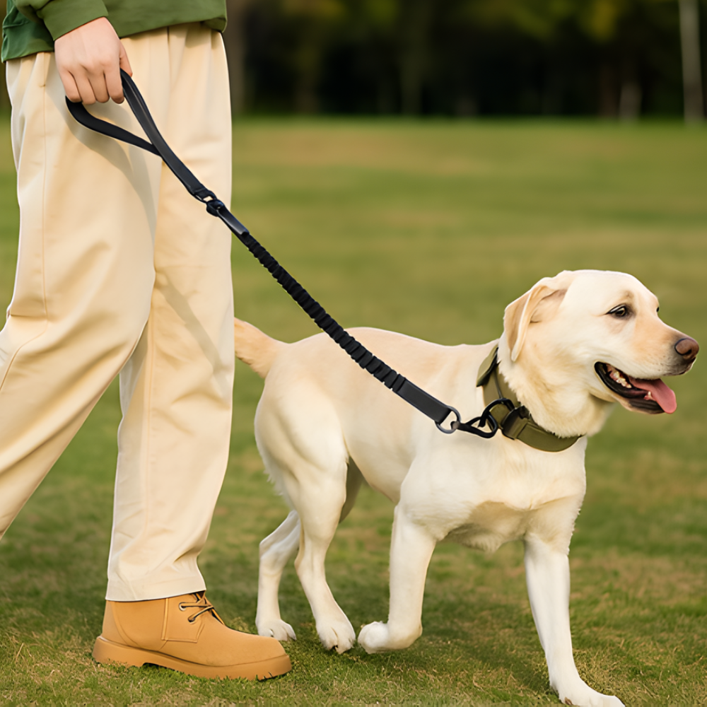 Heavy Duty Dog Leash with Seatbelt Clip