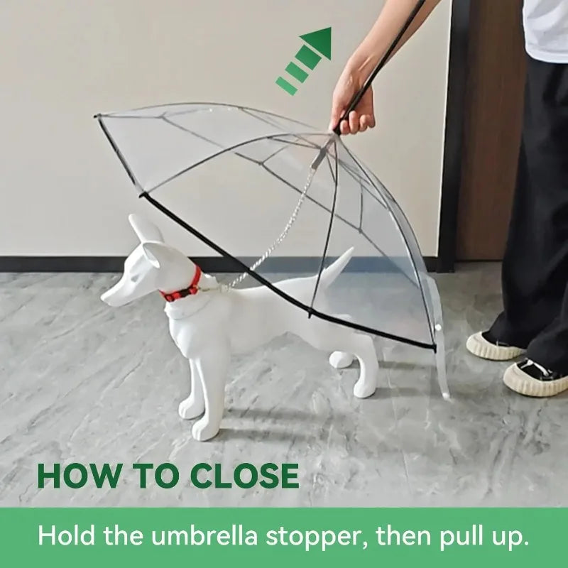Dog Umbrella With Leash