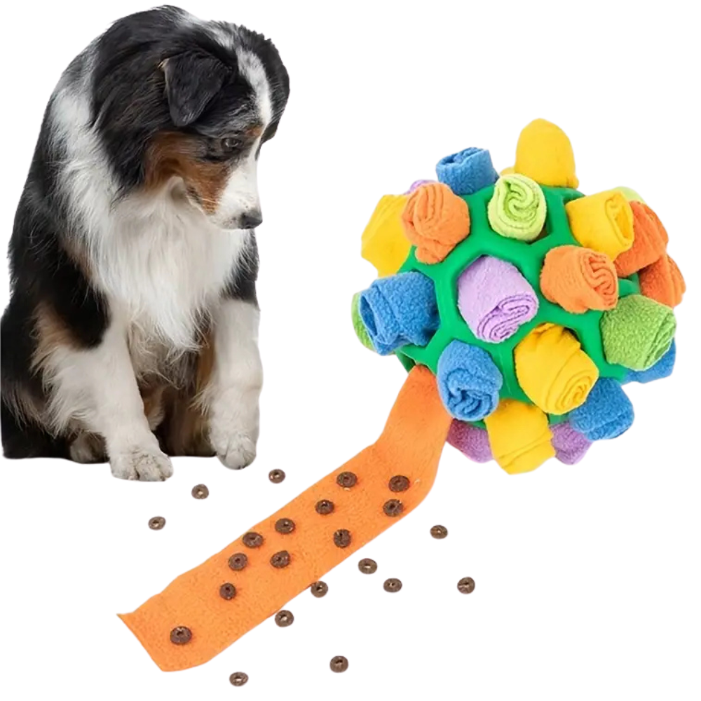 Snuffle Treat Dog Ball
