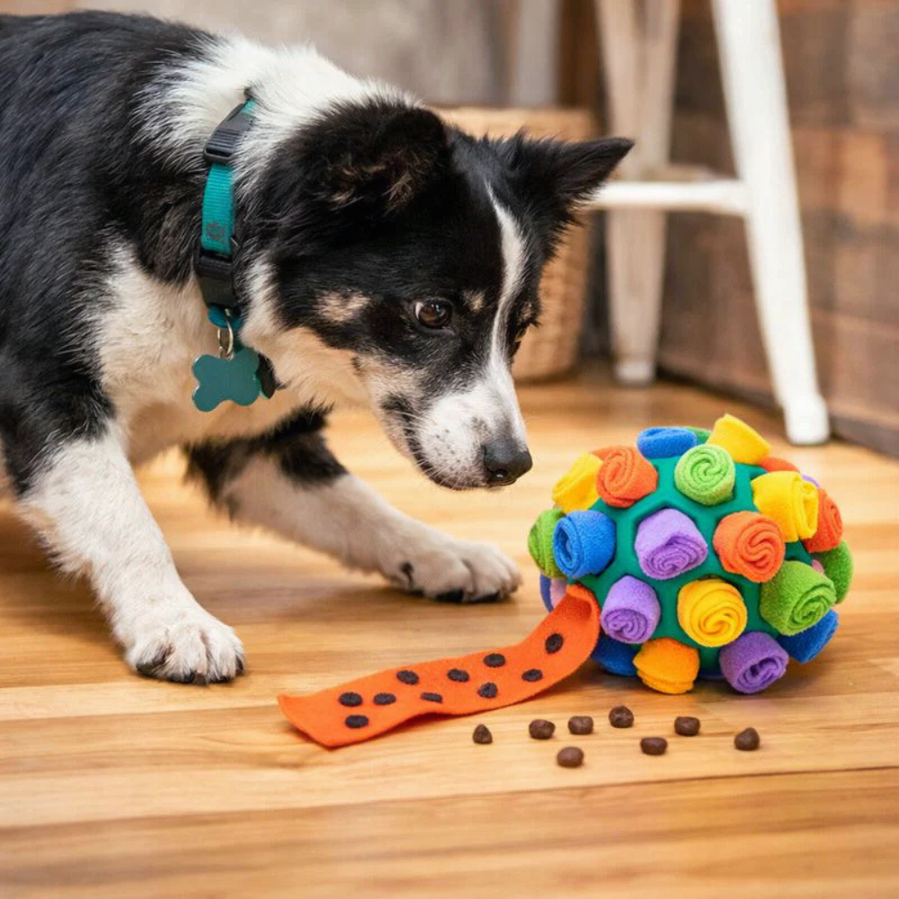 Snuffle Treat Dog Ball