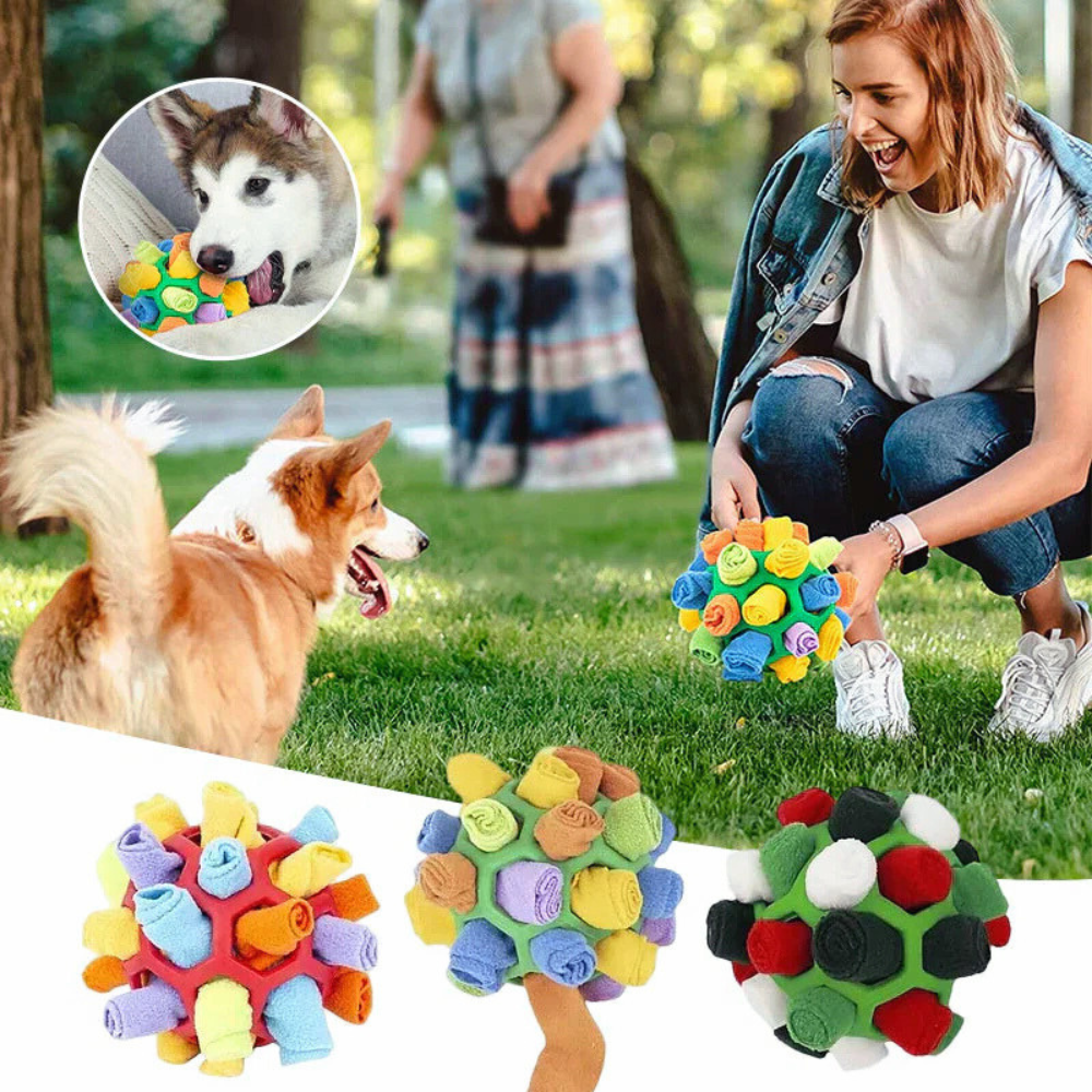 Snuffle Treat Dog Ball