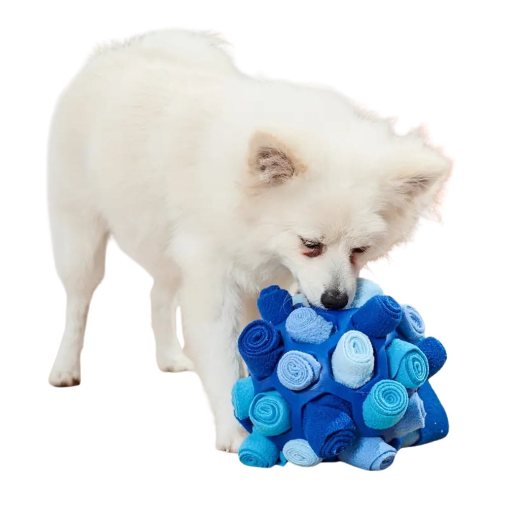 Snuffle Treat Dog Ball