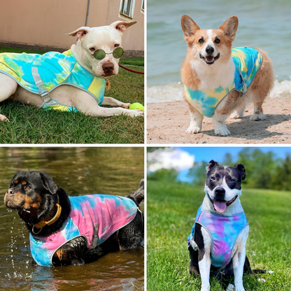 2-Pack Evaporative Dog Cooling Vests