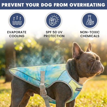 2-Pack Evaporative Dog Cooling Vests