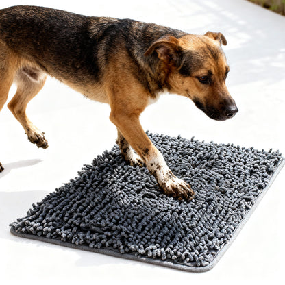 Absorbent Dog Door Mat for Muddy Paws