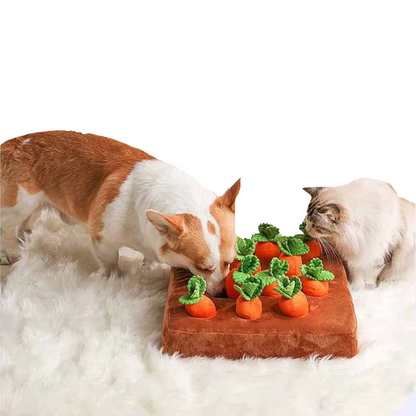 Carrot Snuffle Dog Toy