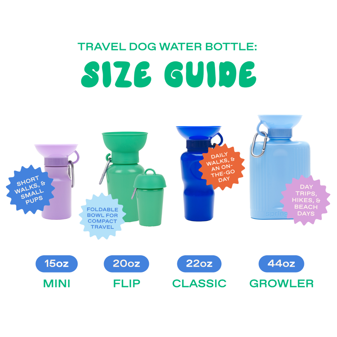 Portable Dog Travel Water Bottle - 22oz