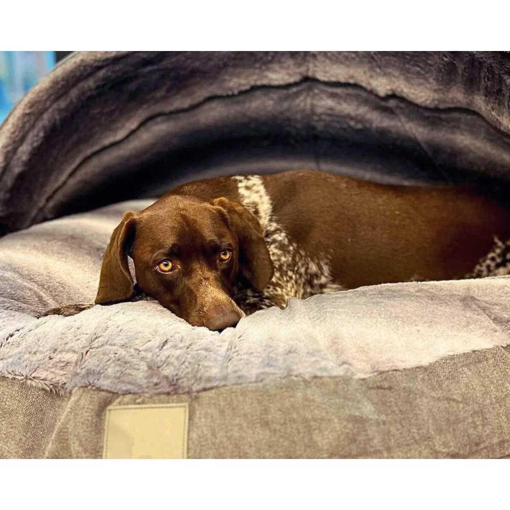 Cozy Dog Cave Bed