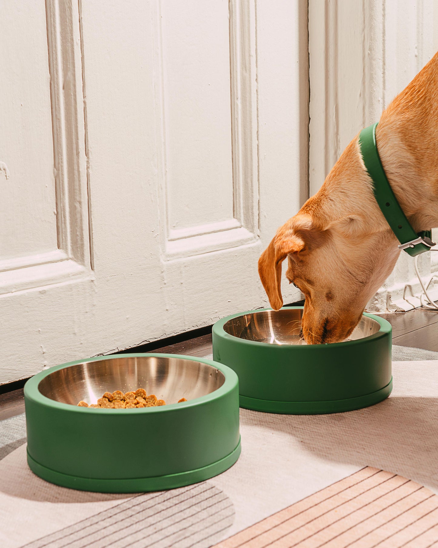 Stainless Steel Dog Bowl