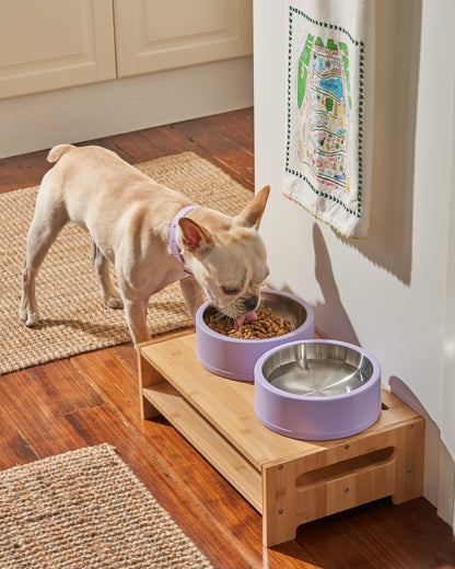 Stainless Steel Dog Bowl