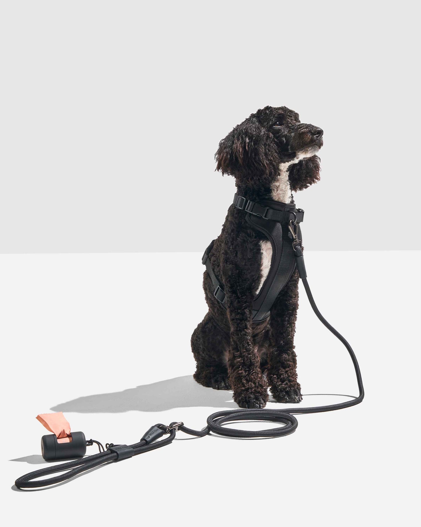 Hands-Free Adjustable Rope Dog Leash