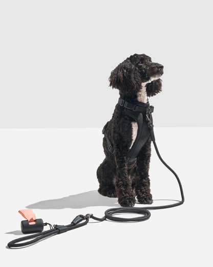 Hands-Free Adjustable Rope Dog Leash