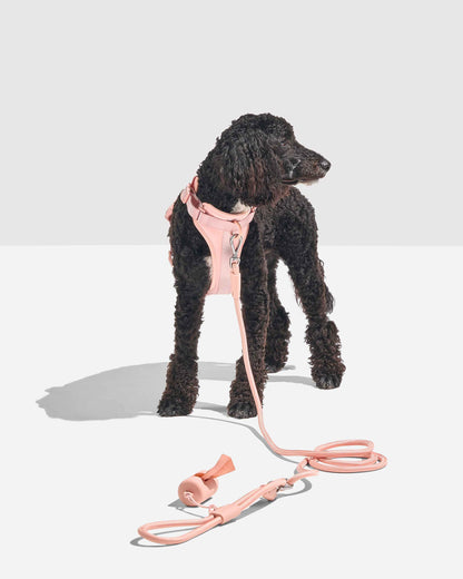 Hands-Free Adjustable Rope Dog Leash