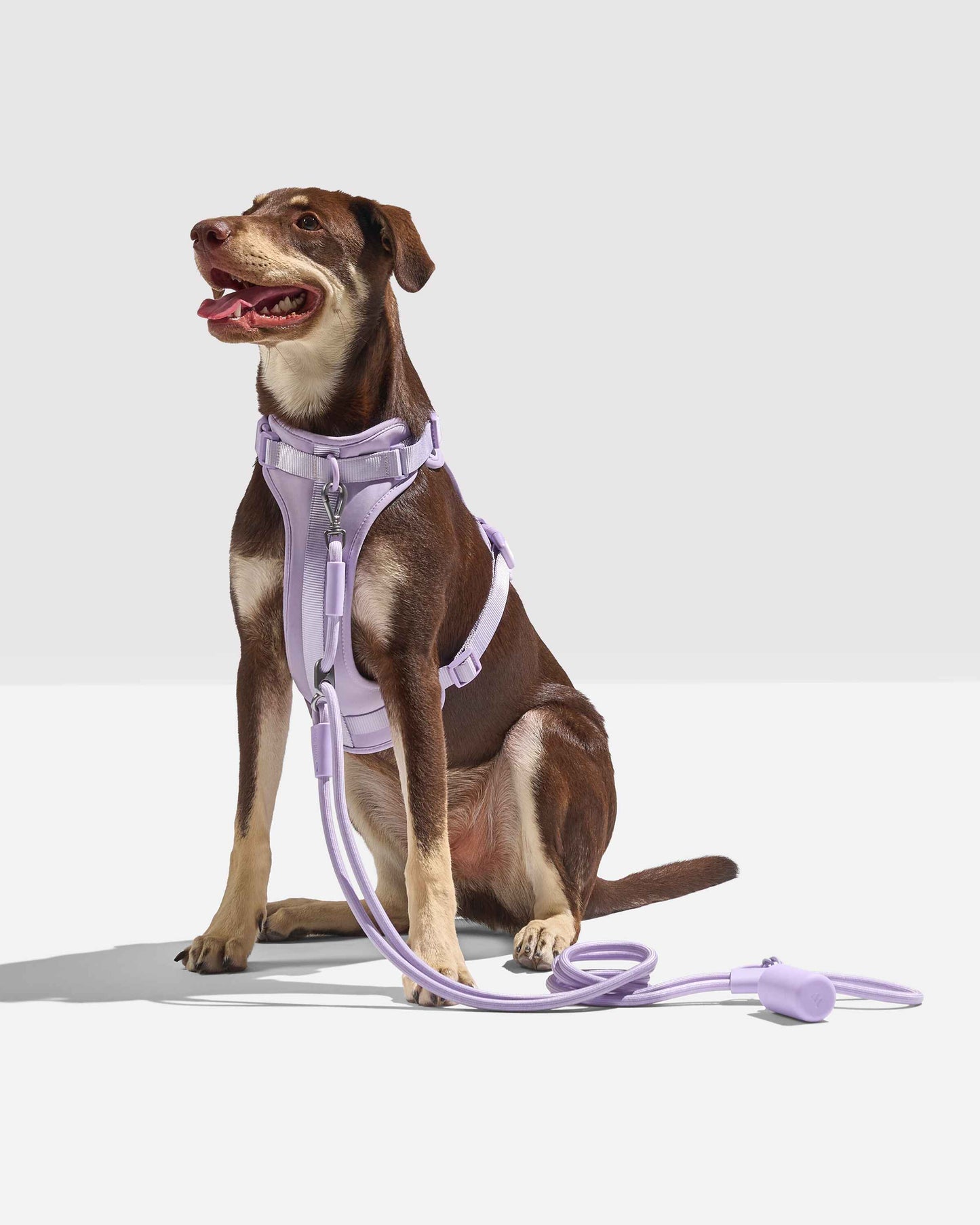 Hands-Free Adjustable Rope Dog Leash