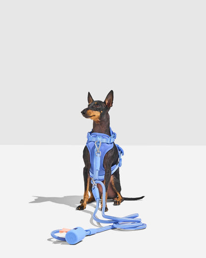 Hands-Free Adjustable Rope Dog Leash