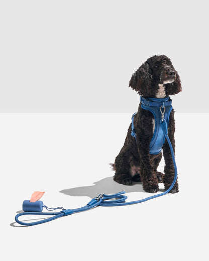 Hands-Free Adjustable Rope Dog Leash