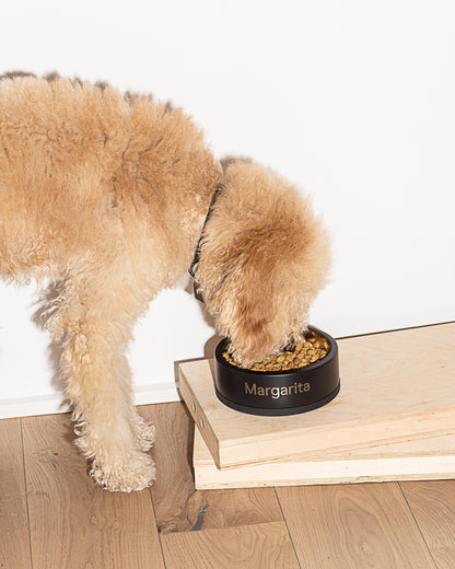 Stainless Steel Dog Bowl