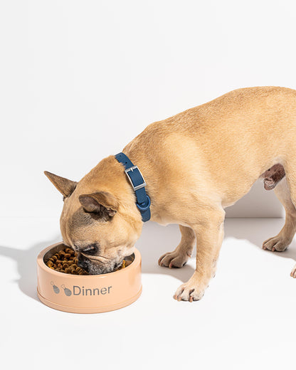 Stainless Steel Dog Bowl