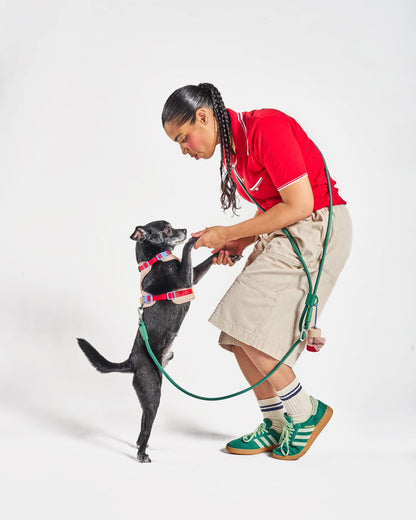 Hands-Free Adjustable Rope Dog Leash
