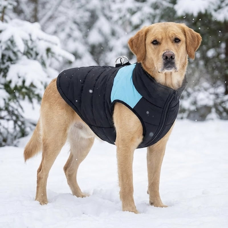 FurGrovers Insulated Dog Winter Jacket