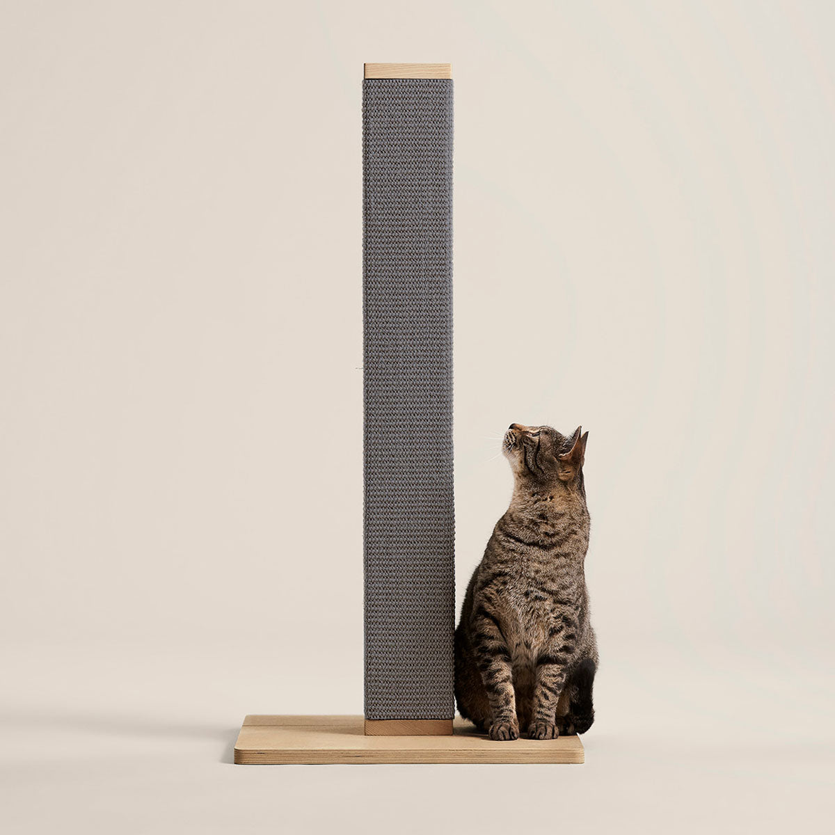 Tall Cat Scratching Post