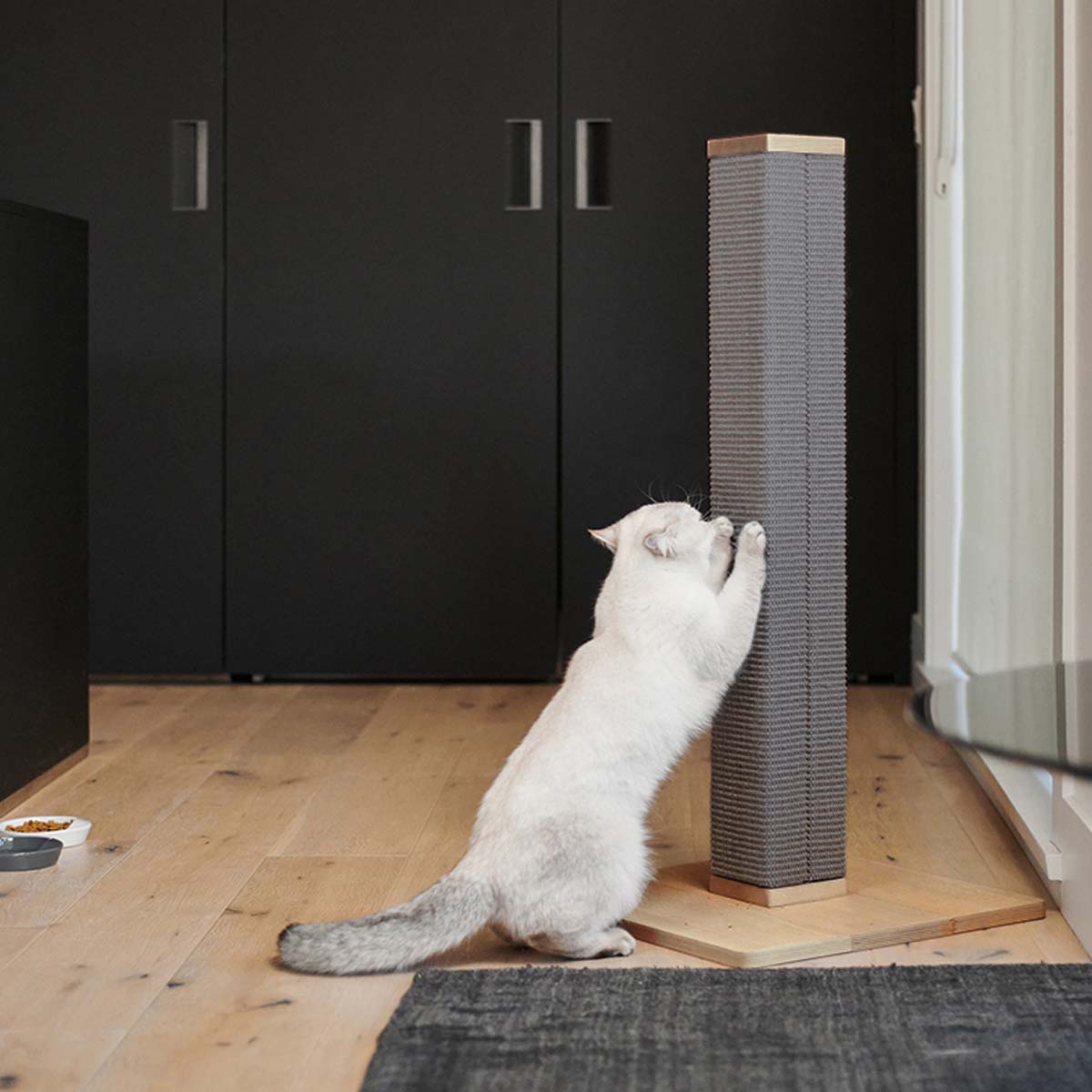 Tall Cat Scratching Post