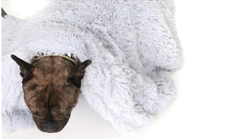 Calming Pet Throw Blanket