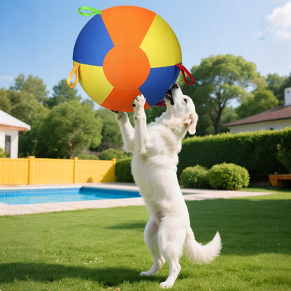 Inflatable Dog Herding Ball for Outdoor Play
