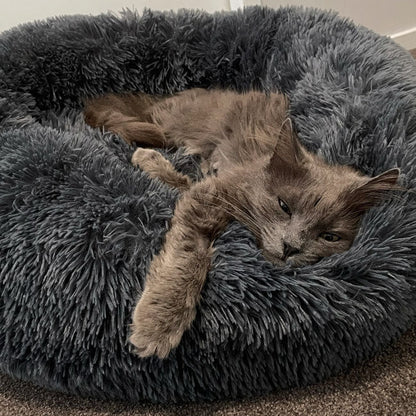 Deep Sleep Cat Bed