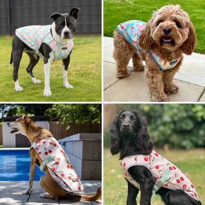 2-Pack Evaporative Dog Cooling Vests