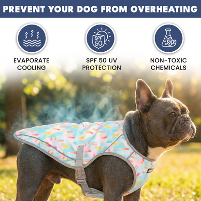 2-Pack Evaporative Dog Cooling Vests