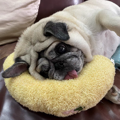 Calming Pet Pillow