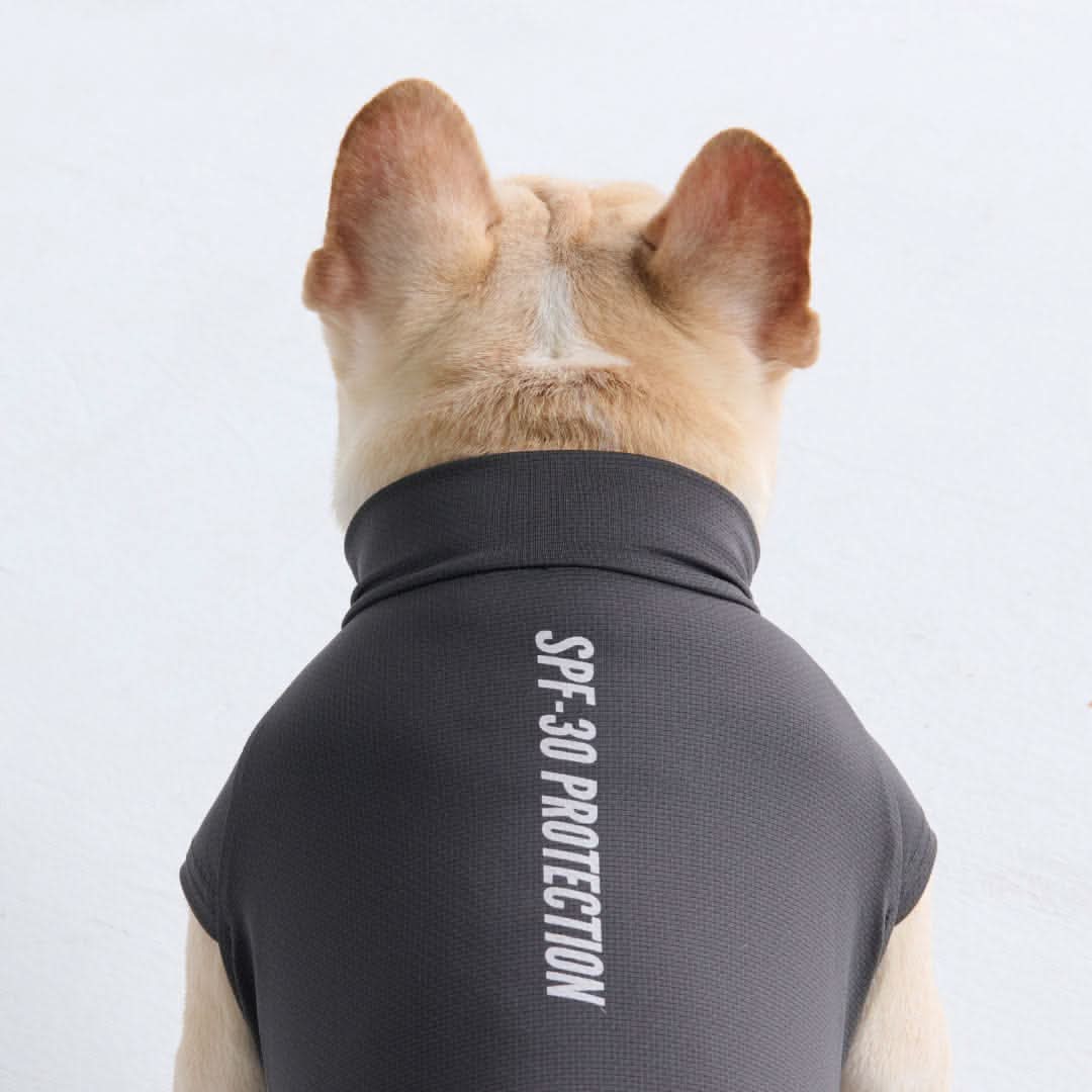 Sun Protection Dog T-Shirt
