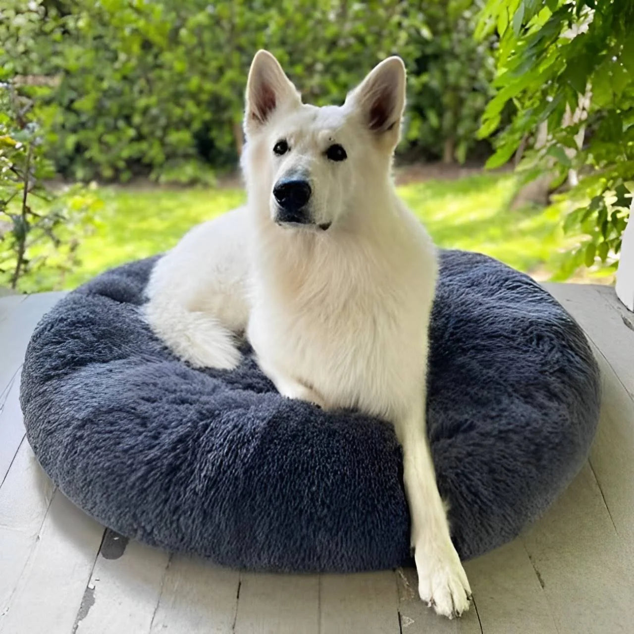 FurGrovers Calming Dog Bed