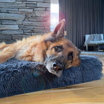 Memory Foam Dog Bed