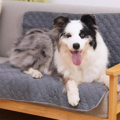 Reusable Waterproof Dog Potty Pad & Training Mat