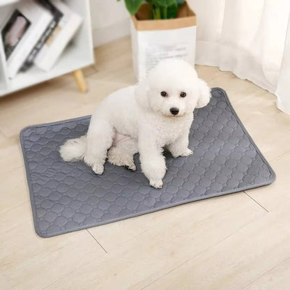 Reusable Waterproof Dog Potty Pad & Training Mat