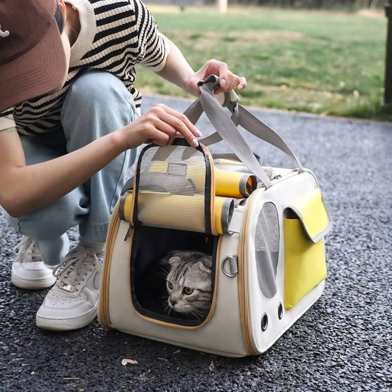 Ventilated Travel Pet Carrier for Cats & Small Dogs