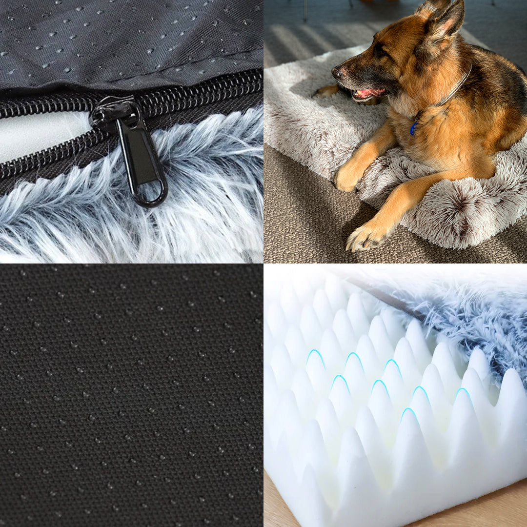 Memory Foam Dog Bed