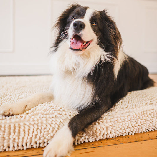 Quick Dry Dog Bed Cover